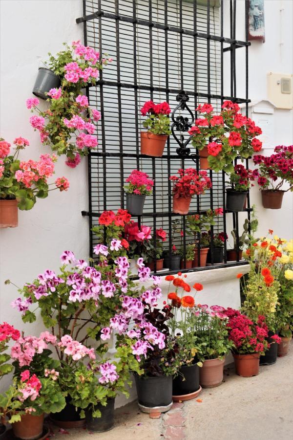 Hostal Moncada Gaucín Exteriér fotografie
