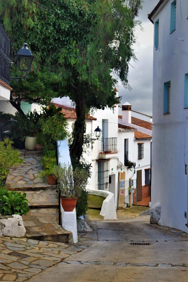 Hostal Moncada Gaucín Exteriér fotografie