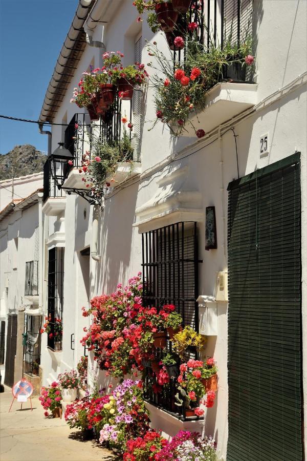 Hostal Moncada Gaucín Exteriér fotografie